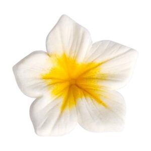 Corante Pó Amrelo 7ml