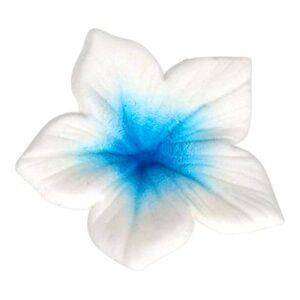 Corante Pó Azul 7ml