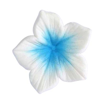 Corante Pó Azul Claro7ml