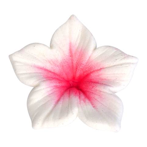 Corante Pó Rosa Forte 7ml