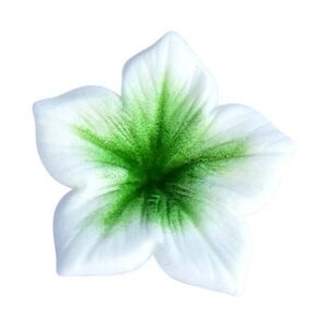 Corante Pó Verde 7ml