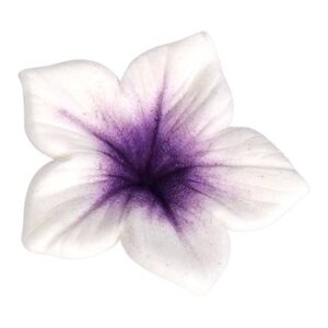 Corante Pó Violeta 7ml