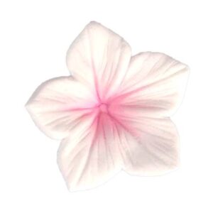 Corante Pó Rosa Bebé 7ml