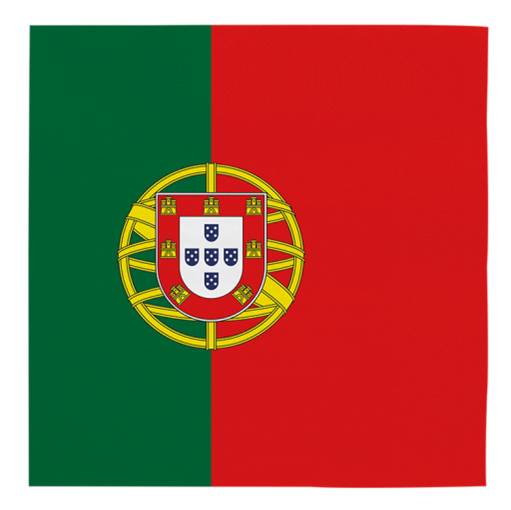 Guardanapos Seleção Portugal 20u,
